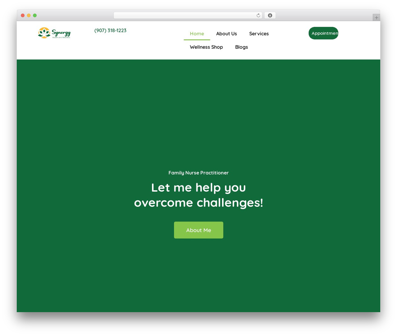 Hello Elementor WordPress theme - synergyhealthak.com Hello Elementor WordPress theme - synergyhealthak.com