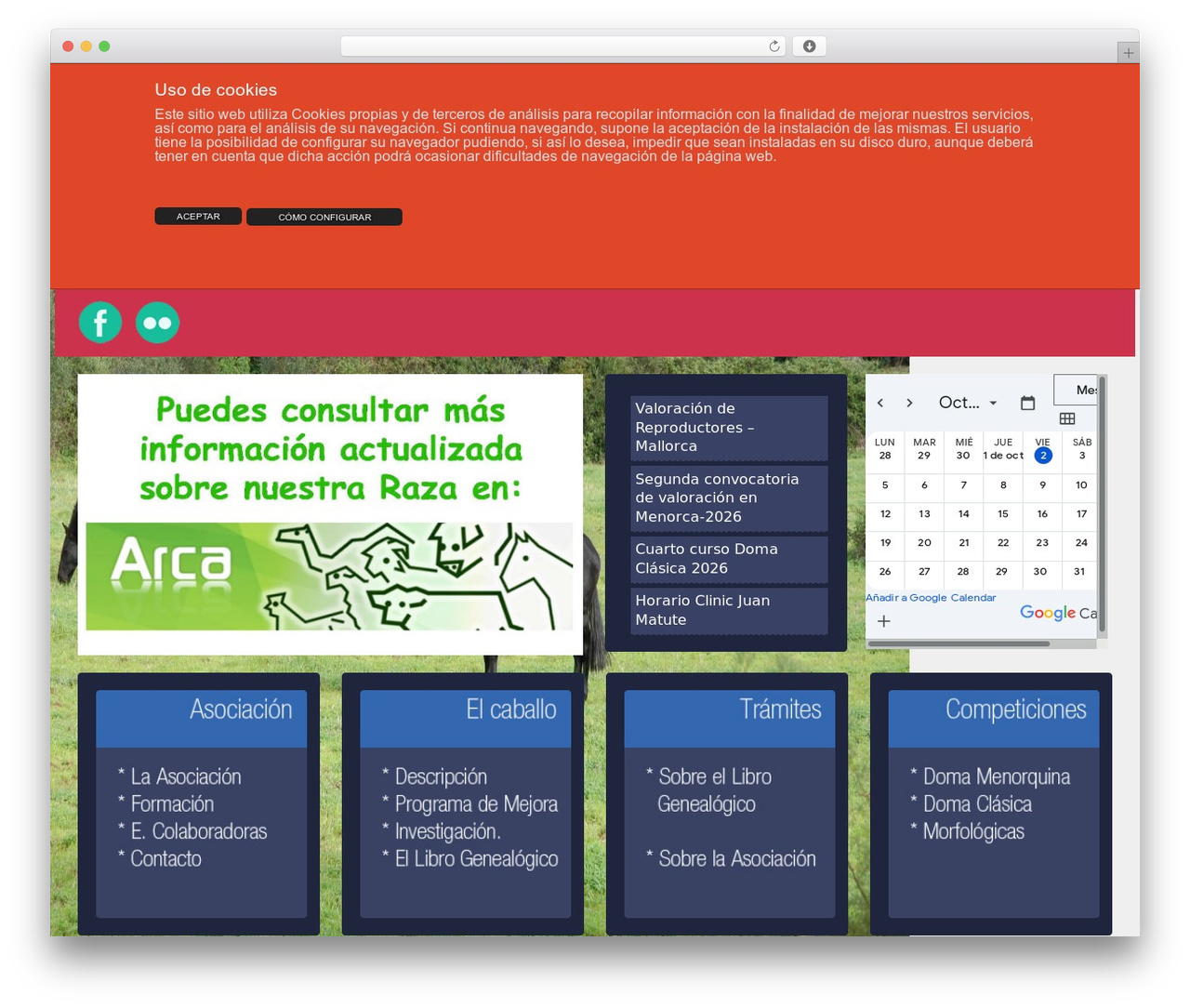 Responsive WordPress theme - caballomenorquin.com Responsive WordPress theme - caballomenorquin.com