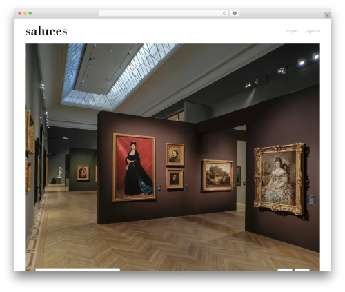 Themezilla Agency WordPress theme - saluces.com