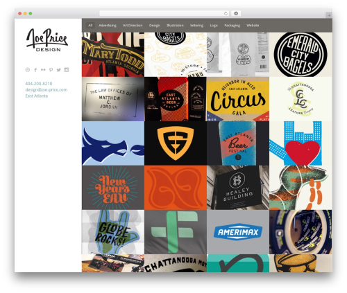 Themetrust social WordPress plugin - joe-price.com