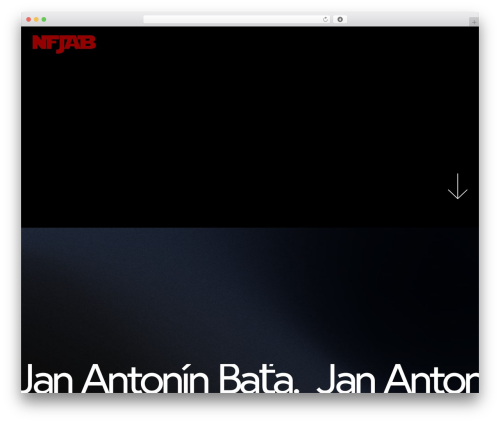 Elfsight facebook feed cc WordPress plugin - janantoninbata.cz