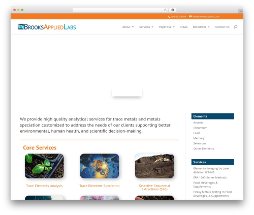 WordPress theme Divi - brooksapplied.com