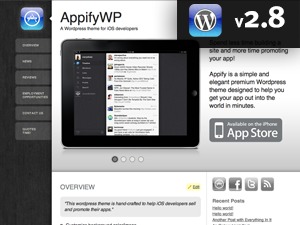 AppifyWP Single WordPress theme