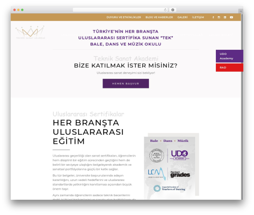 Arabesque core WordPress plugin - tekniksanatakademi.com