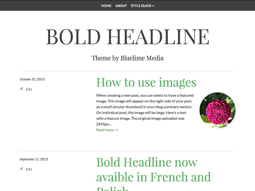 Bold Headline WordPress gallery theme