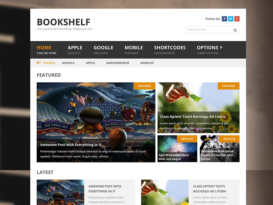 Bookshelf WordPress news theme