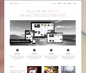 DW Simplex WordPress shopping theme by DesignWall