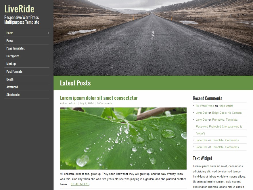 Wordpress templates. Шаблон в вордпресс Multipurpose Template. Тема k2 для WORDPRESS. Protected Templates.