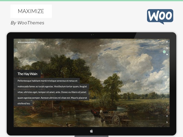 Maximize WordPress theme design Maximize WordPress theme design