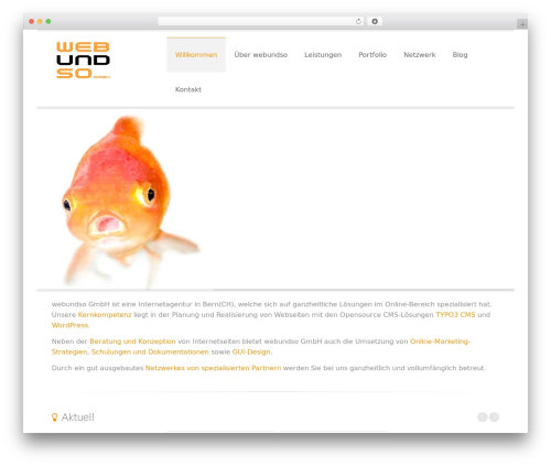 RiverS WordPress website theme - webundso.ch