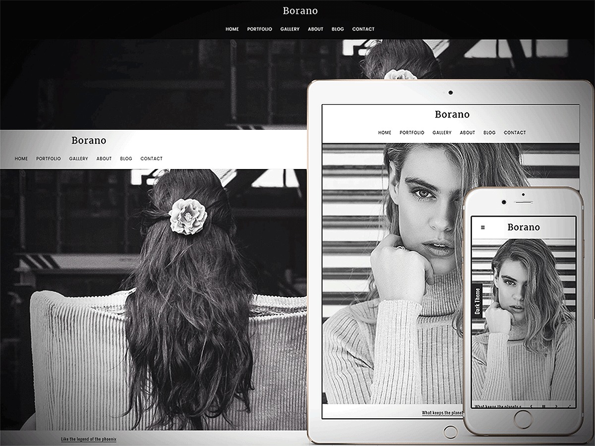 Theme WordPress Borano