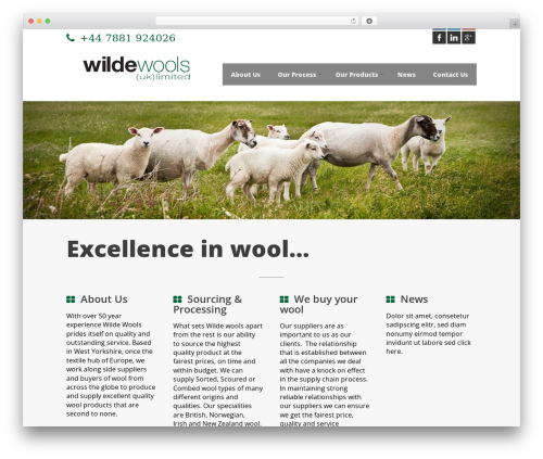 Theme WordPress Divengo - wildewools.co.uk