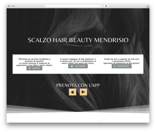 Hello Elementor WordPress theme - www.scalzohairbeautymendrisio.ch