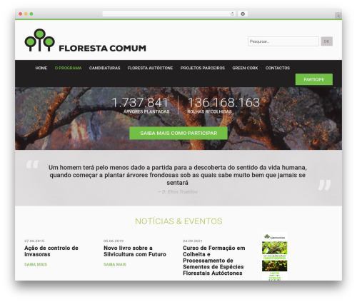 Theme WordPress Process - florestacomum.org
