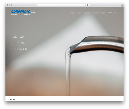 Fb pixel dsgvo WordPress plugin - capaul-gmbh.ch