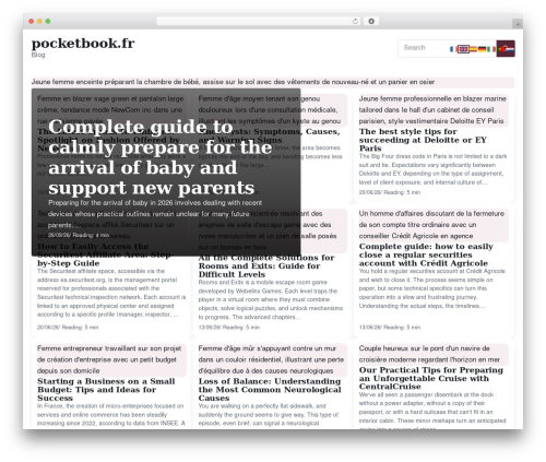 Esteem WordPress theme - pocketbook.fr
