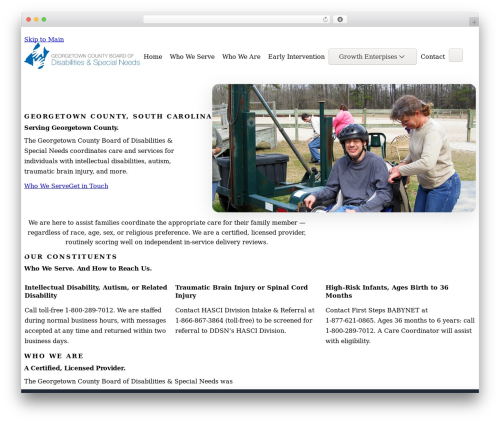 Etch Theme WordPress website theme - gcbdsn.com