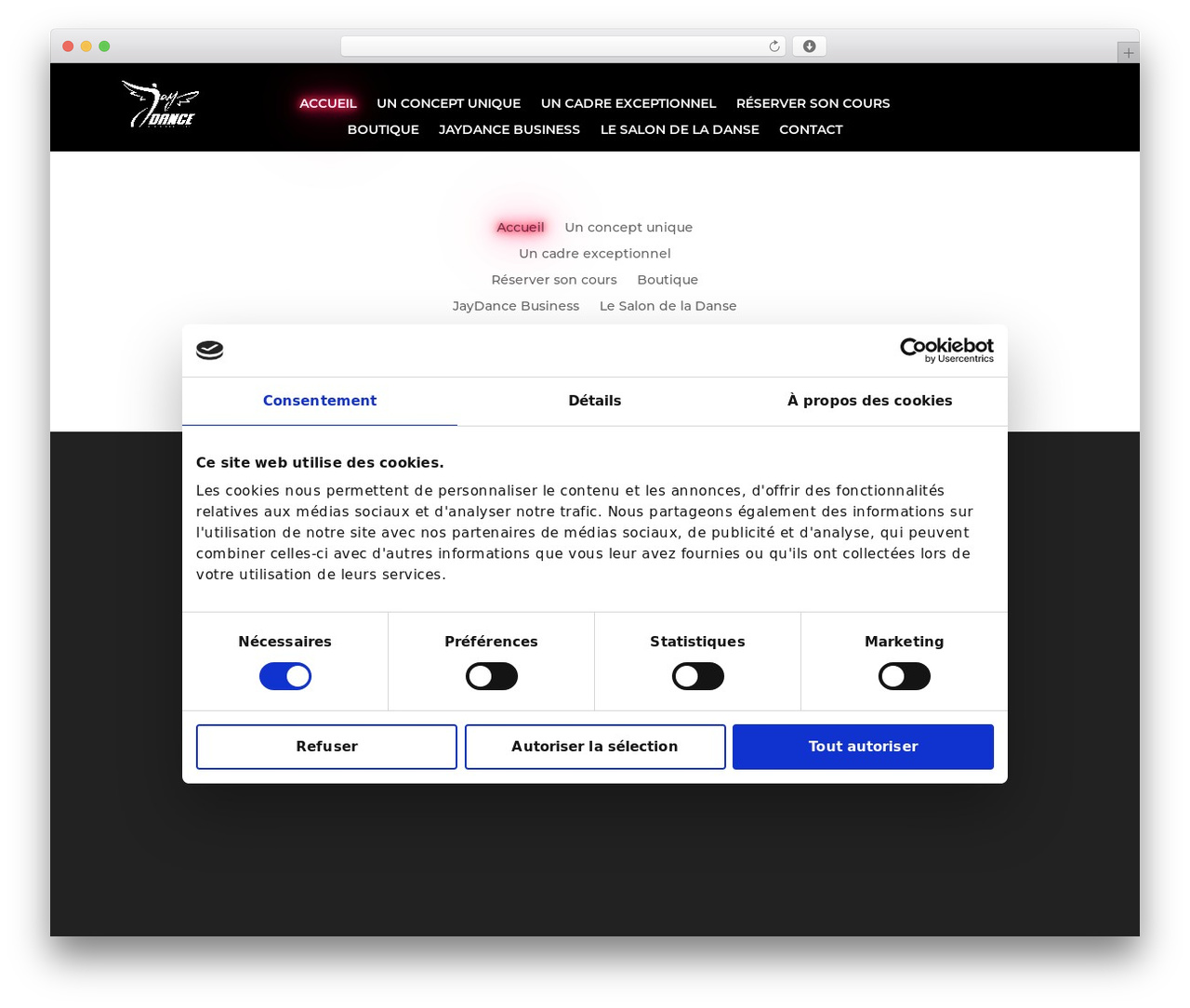 WordPress theme Divi - jaydance-fitness.com