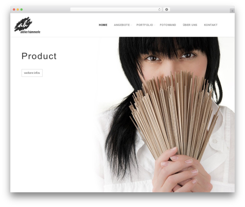 Visual elements WordPress plugin - atelier-haemmerle.ch