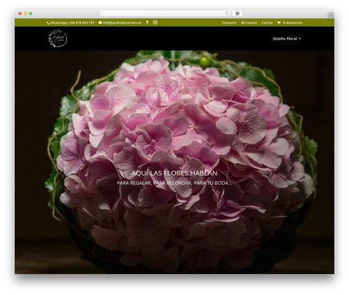 Divi theme WordPress - jardindelcarmen.es