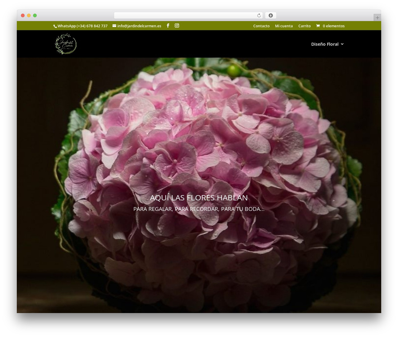 Divi theme WordPress - jardindelcarmen.es Divi theme WordPress - jardindelcarmen.es