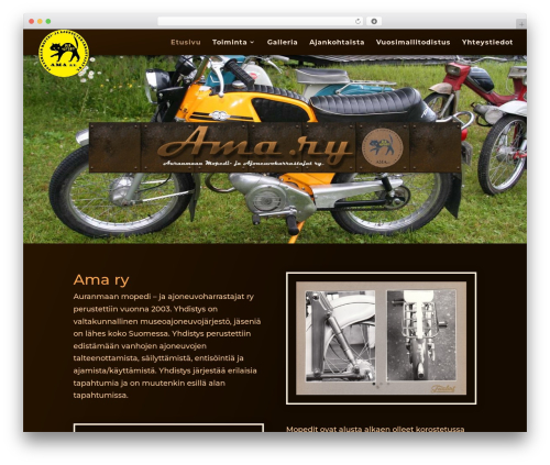 Divi WordPress theme - ama-ry.com