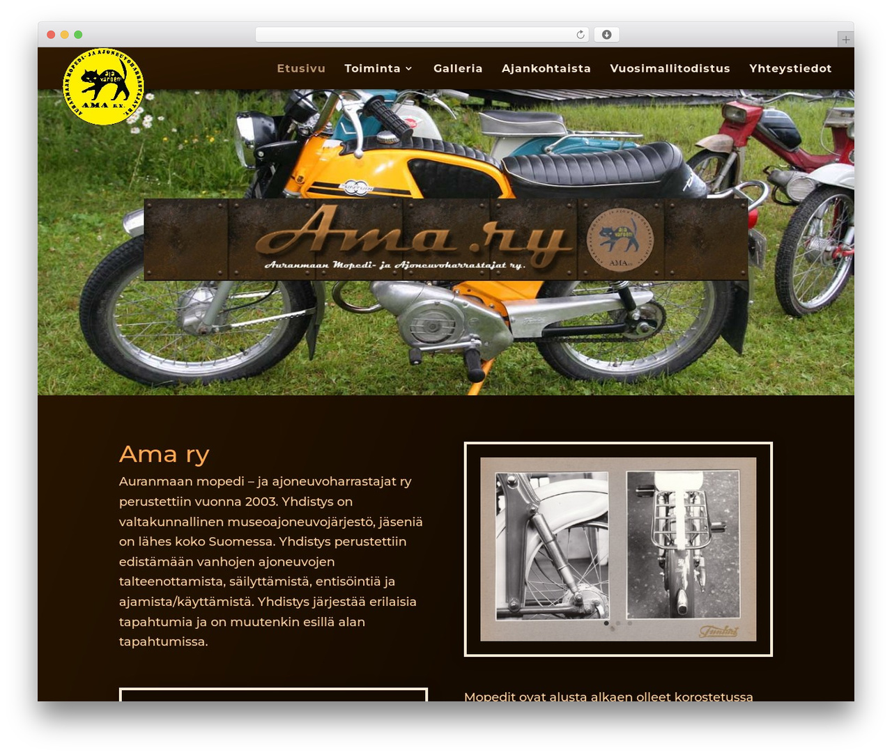 Divi WordPress theme - ama-ry.com