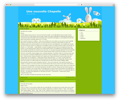 FLV Embed (flv-embed) free WordPress plugin - julianne-chapelle.com FLV Embed (flv-embed) free WordPress plugin - julianne-chapelle.com