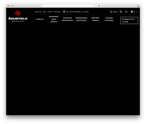Site WordPress theme - saudykla.lt