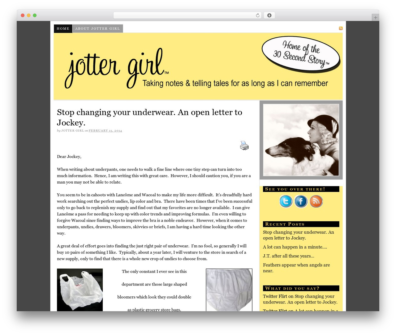WordPress theme Thesis - jottergirl.com
