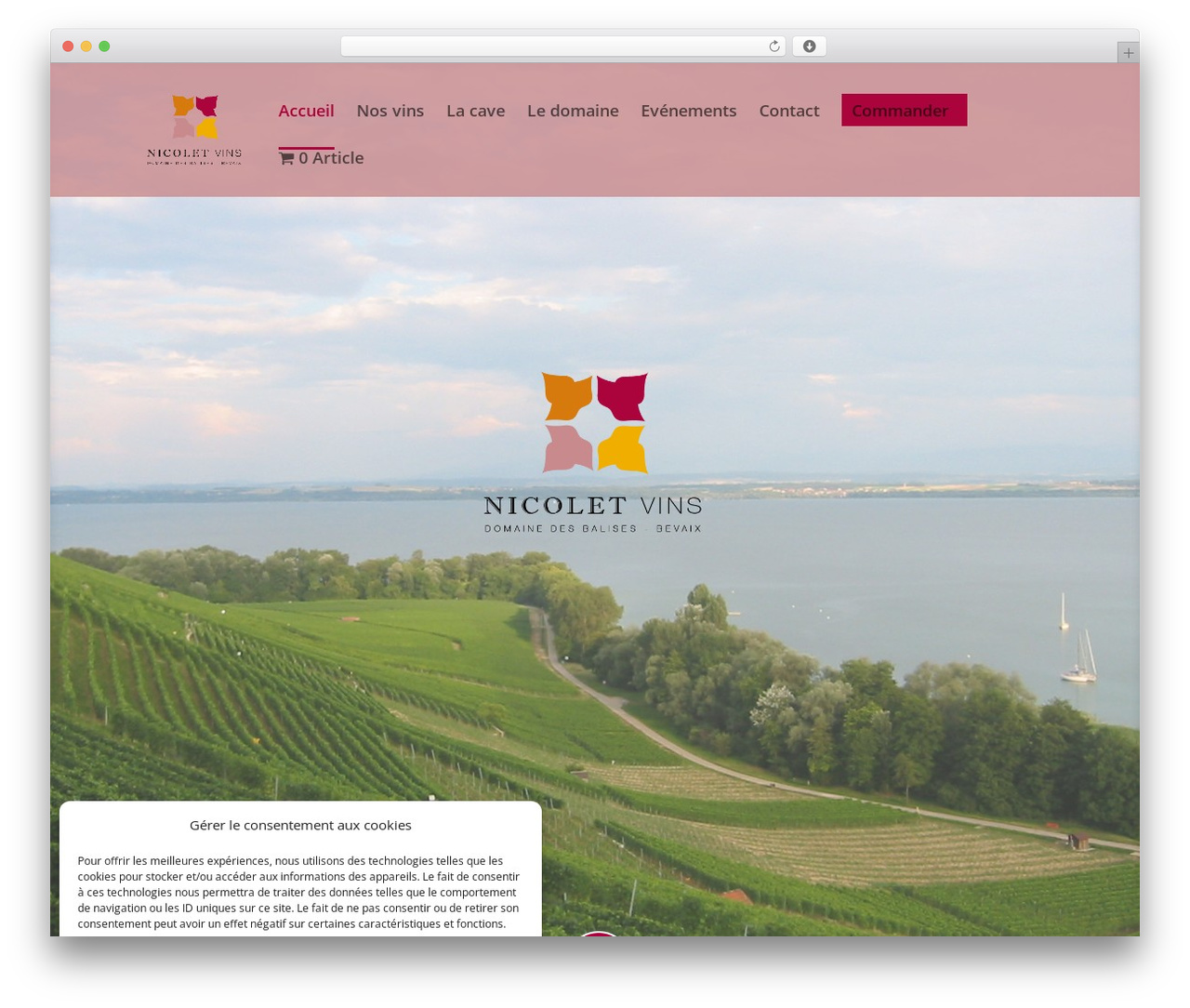 Divi theme WordPress - nicoletvins.ch Divi theme WordPress - nicoletvins.ch