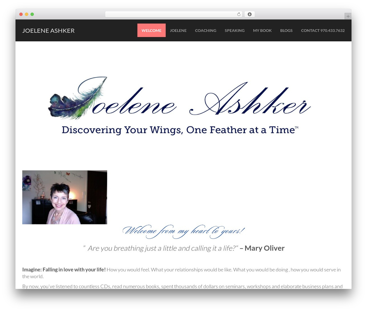 Flat Bootstrap WordPress theme - joeleneashker.com