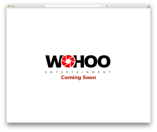 Wp hummingbird WordPress plugin - wohoo.pro