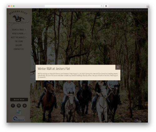 Gravity Forms Auto Placeholders (gravity-forms-auto-placeholders) free WordPress plugin - jestersflat.com