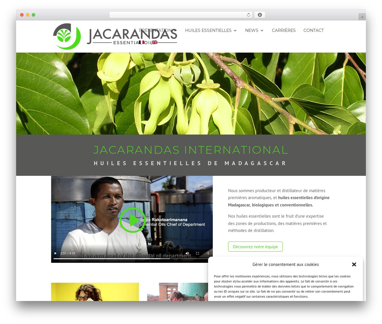 Theme WordPress Divi - jacarandas-international.com