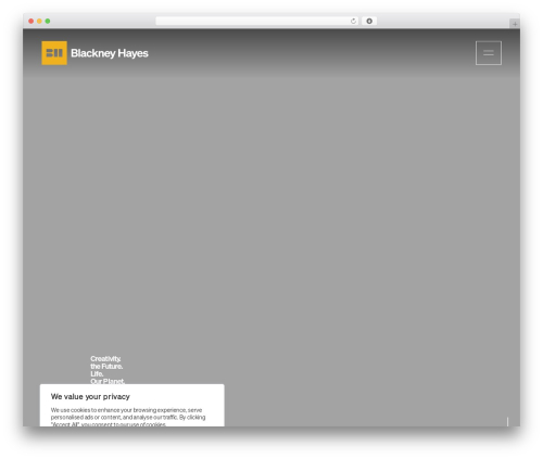 WordPress theme Push10 Theme - blackneyhayes.com
