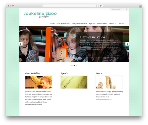 Professional Social Sharing Buttons, Icons & Related Posts – Shareaholic (shareaholic) free WordPress plugin - joukelinesizoo.nl