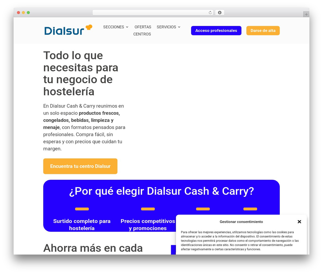 Divi WordPress theme - dialsur.es