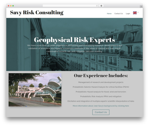 Divi theme WordPress - savyriskconsulting.com