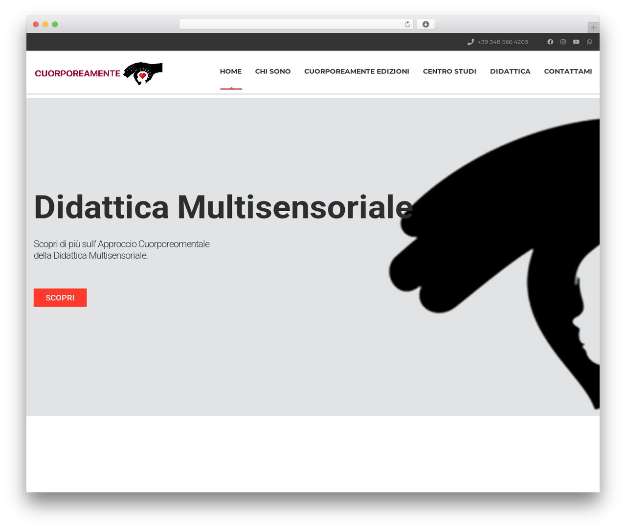 MasterStudy WordPress theme - cuorporeamente.it MasterStudy WordPress theme - cuorporeamente.it
