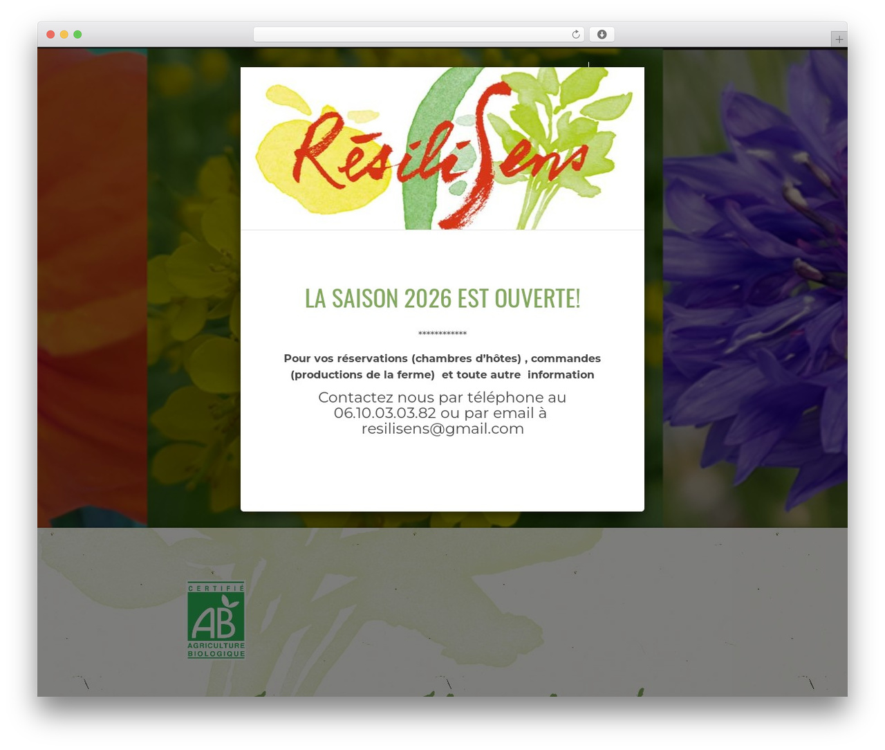 Theme WordPress noe - resilisens.com Theme WordPress noe - resilisens.com