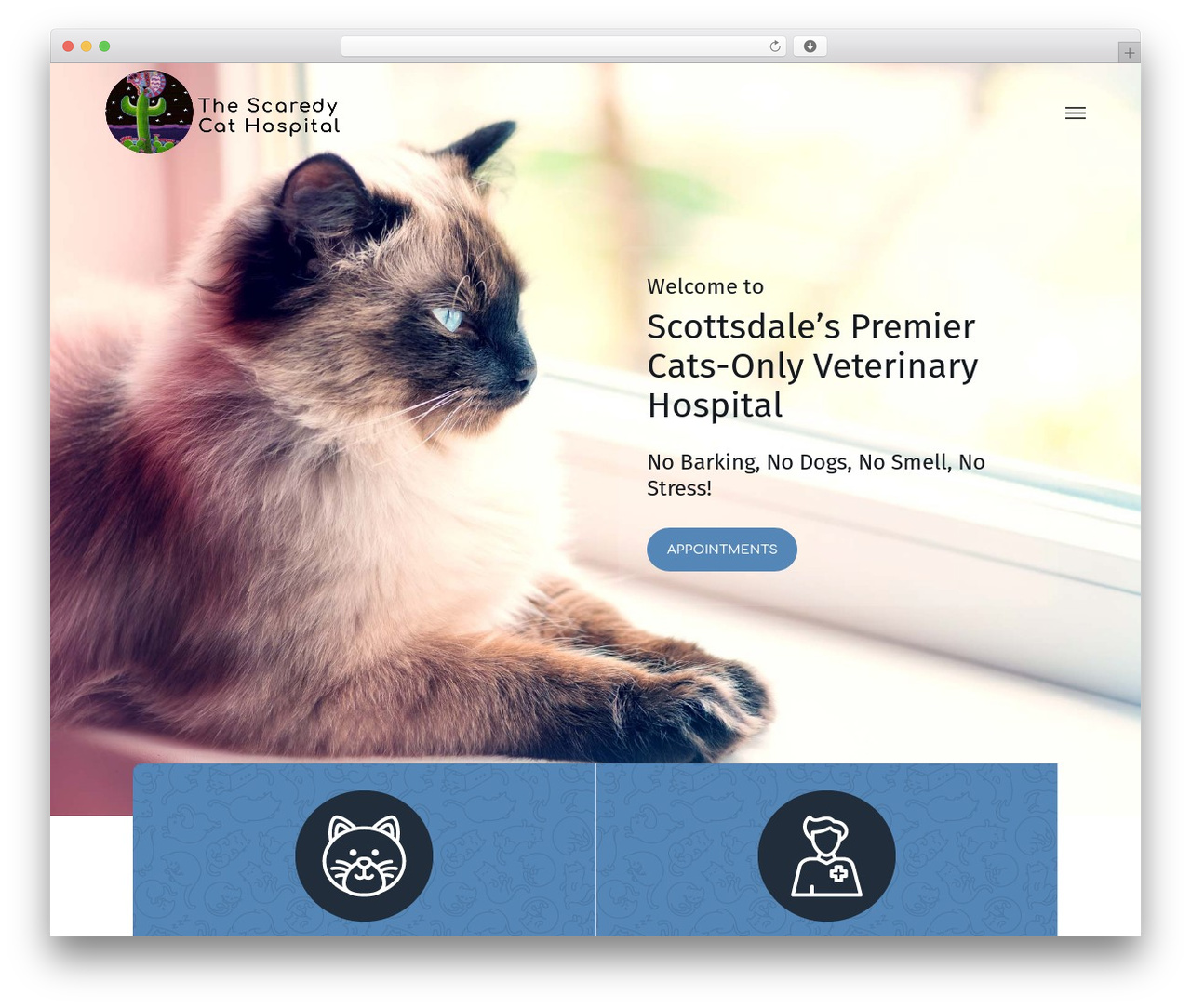 Theme WordPress Salient - scaredycats.com Theme WordPress Salient - scaredycats.com