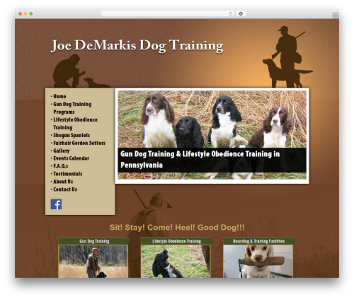 WordPress theme Genesis - joesdogtraining.com