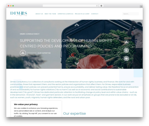 Portfolio for elementor WordPress plugin - dimesconsultancy.com