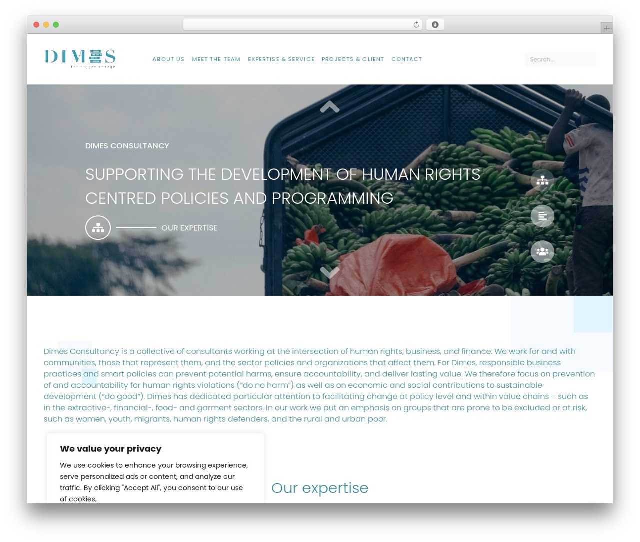 WordPress website theme Studius - dimesconsultancy.com
