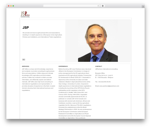 application premium WordPress theme - jspacheco.com
