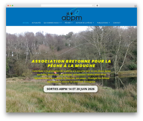 Divi theme WordPress - abpm-asso.fr