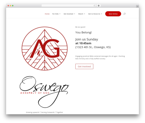 Social live video autoembed WordPress plugin - oswegoag.org