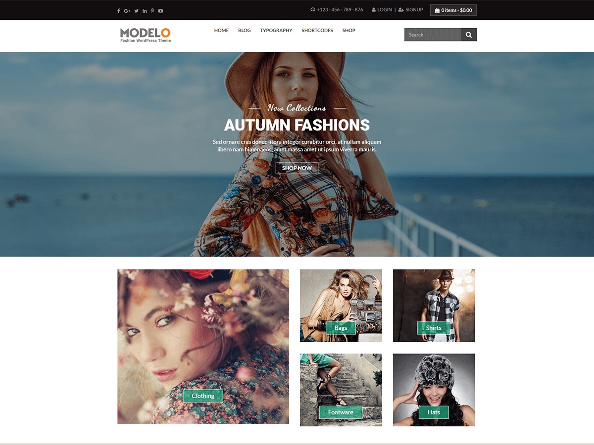 Modelo WordPress theme design Modelo WordPress theme design