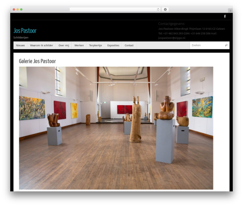 Awesome Flickr Gallery (awesome-flickr-gallery-plugin) free WordPress plugin - jospastoor.nl